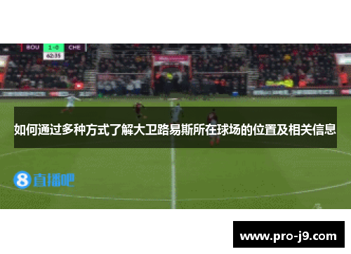如何通过多种方式了解大卫路易斯所在球场的位置及相关信息